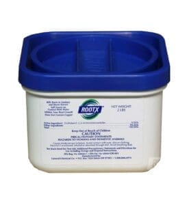 septic 